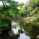 妙蔵寺 中庭の池