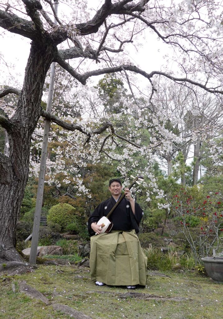 栗原武啓さん 妙蔵寺の庭の満開の桜と