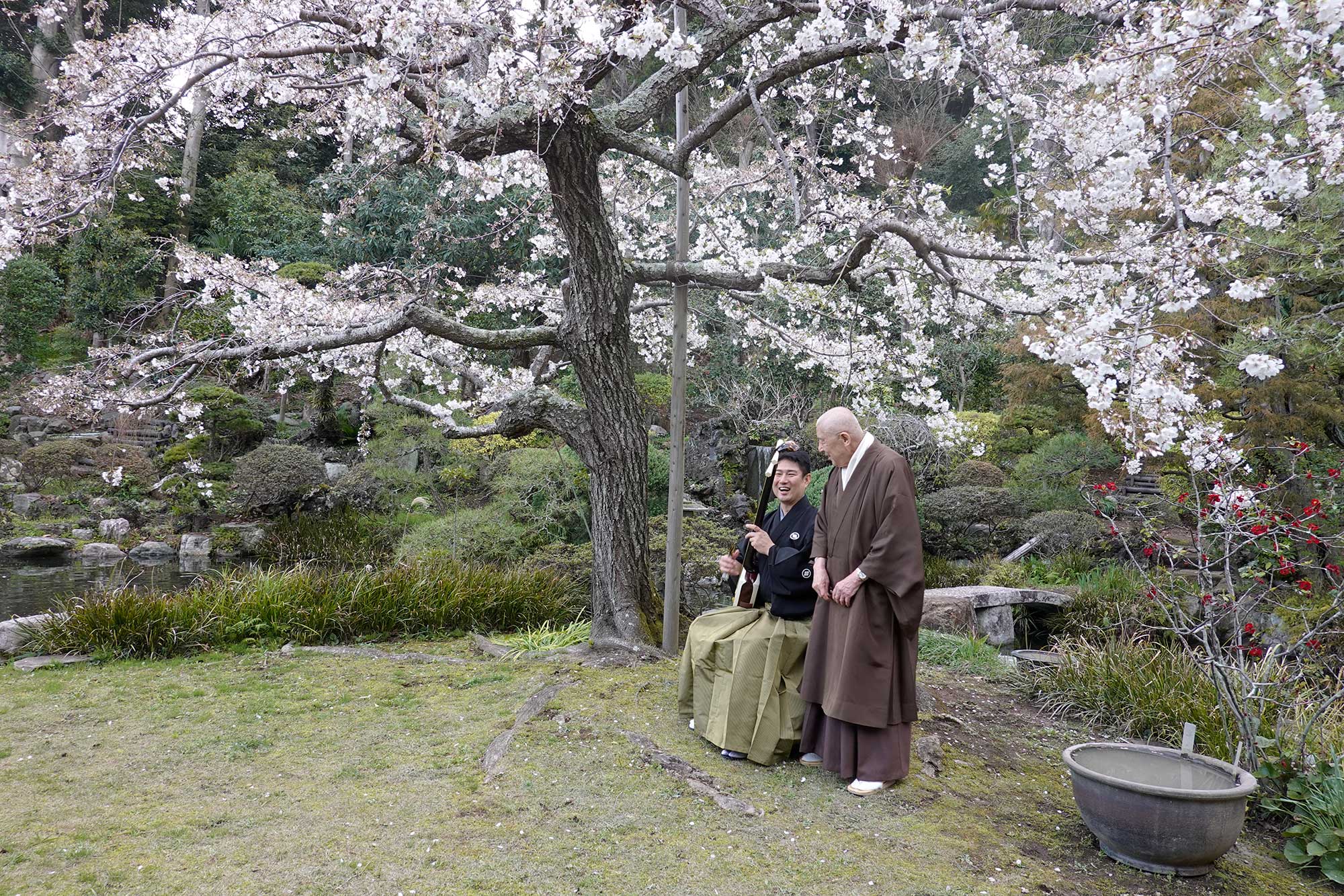 栗原武啓さんと当山住職 妙蔵寺の庭の満開の桜と